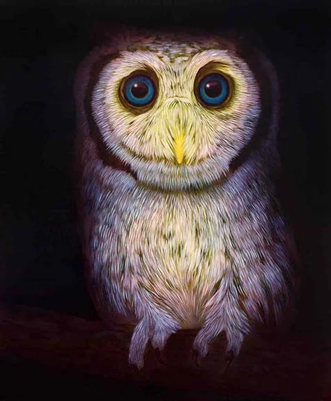 Untitled (owl)